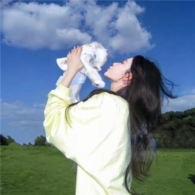 猪猪侠